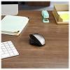 imageVerbatim 24G Wireless Ergonomic LED Silent Mouse  Noiseless and Silent Click Computer Mouse with Nano Receiver for Mac and PC  Graphite
